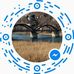 Carolina Andreoli - Facebook