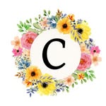 Carolina Fashion House - @lojacarolina_fh - Instagram