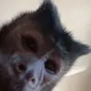 🦋 Carolina Howard 🦋 - @carolina.howard - TikTok