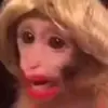 CarolinaHoward.2000 - @carolinahoward936 - TikTok