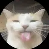 Carolina Isabel Monsch - @carolinamonsch - TikTok