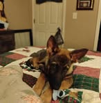 Caroline Aiken - Facebook