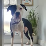 Caroline Aitken-Smith - @caz.86 - Instagram