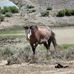 Carol Akers - Facebook
