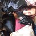 Carolyn Akers - Facebook