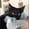 Caroline Albano - @caroline.albano4 - TikTok