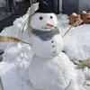 Caroline Albrecht26 - @caroosso - TikTok