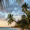 caroline.aldrich🌺 - @caroline17softball - TikTok