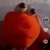 Je suis Nemo le charo 😎 - @carolinealexl.m - TikTok