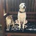 Caroline Alexander - Facebook