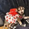 Caroline Alexander - @iamjustme4242 - TikTok