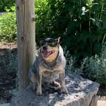 Caroline Allard - @rocky_the_rock20 - Instagram