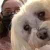 alliecaroline 🦝 - @alliecaroline - TikTok