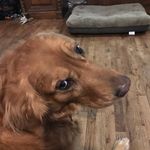 Carolyn Allred Childers - @carolynchilders25 - Instagram