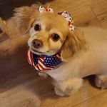 Carolyn Allred-Slack - @caroldun2010 - Instagram