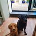 Caroline Allum - Facebook