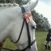 Caroline Almond - Facebook