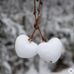 Caroline Alonso - Facebook
