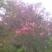 Caroline Alston - Facebook