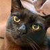 Caroline Alston - Facebook