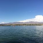 Carolyn Altman - @lakehavasuareahomes - Instagram