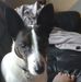 Caroline Andersen - Facebook