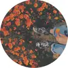 ( ˘ ³˘)♥︎ - @carolineandrews - TikTok