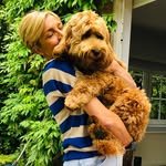 Caroline Andries - @jules_labradoodle - Instagram