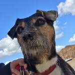 Caroline Anniss - @_seedsofchange_ - Instagram