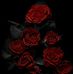 Caroline Applegarth - Facebook