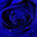 Caroline Applegarth - Facebook