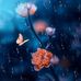 Caroline Applegarth - Facebook