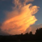 Caroline Applegate - @artsyphotographypc - Instagram