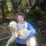 Carolyn Applegate Lundin - @carolynapplegatelundin - Instagram