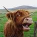 Caroline Archibald - Facebook