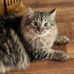 Carolyn Phinney Archibald - Facebook