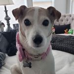 Caroline Archuleta-Simpson - @archuletasimpson - Instagram