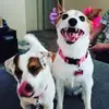 carolinearchuleta - @carolinearchuleta - TikTok