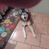 carolinearick - @carolinearick - TikTok