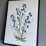 Caroline Armitage - @caroline.armitage.79 - Instagram
