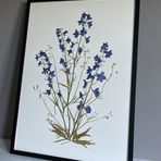 Caroline Armitage - Facebook