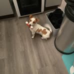 Caroline Armstrong - Facebook