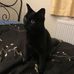 Caroline Ashton - Facebook