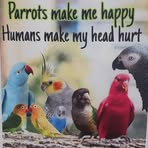 Caroline Ashworth - Facebook