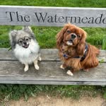 Caroline Ashworth - @hugo_binky_ - Instagram