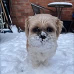 Caroline Ashworth - Facebook