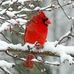 Carol Atherton - Facebook