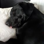 Caroline Barber - @carolinebarber8875 - Instagram