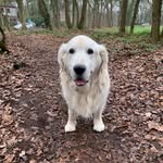 Caroline Beer - @carolinebeertje - Instagram