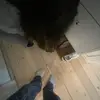 Caroline_bjerg - @caroline_berg - TikTok